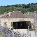 © domaine-souviou-lavandes-bandol-vignoble-vin - Crédit photo domaine Souviou