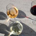 © domaine-souviou-degustation-vin-rose-bandol-cotes-de-provence - Crédit photo domaine Souviou