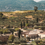 © domaine-souviou-vignoble-oliviers-vignes - Crédit photo domaine Souviou