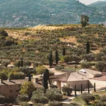 © domaine-souviou-vignoble-oliviers-vignes - Crédit photo domaine Souviou
