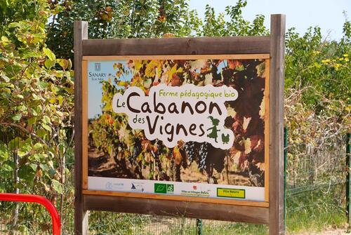 Cabanon des vignes