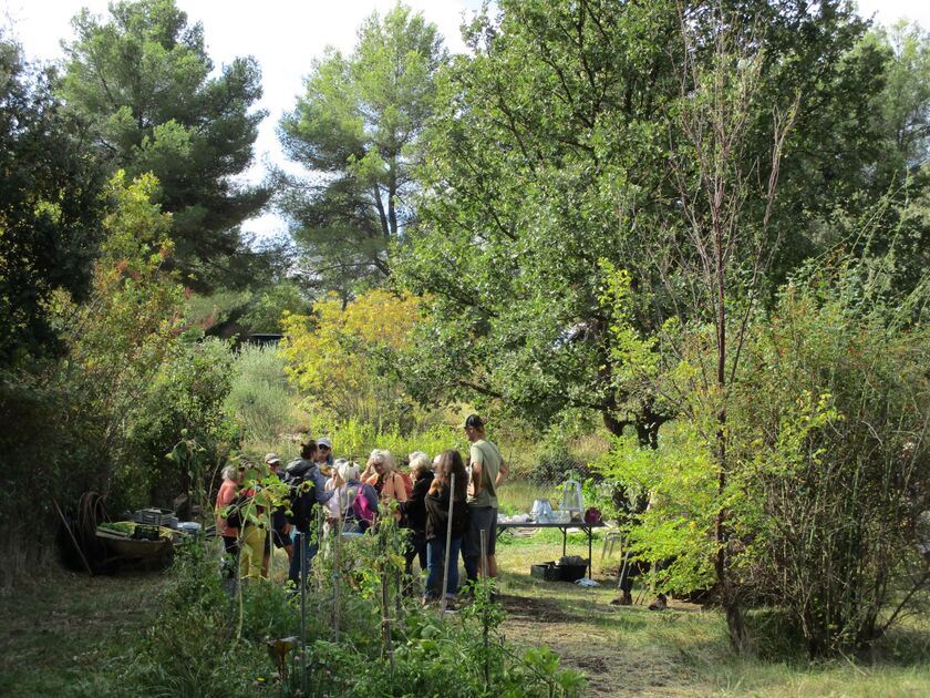 Atelier - Jardin sauvage_Le Beausset
