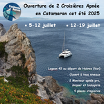 © Posidonia Apnea_Bandol - Posidonia Apnea_Bandol