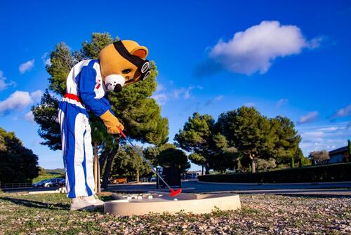 Mini-golf