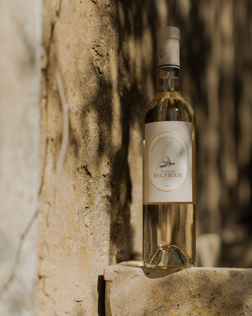 © Maison Becfigue_Bandol - Maison Becfigue_Bandol