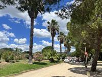 © Vide grenier de la Rambla_Saint-Cyr-sur-Mer - Office de tourisme de Saint-Cyr-sur-Mer