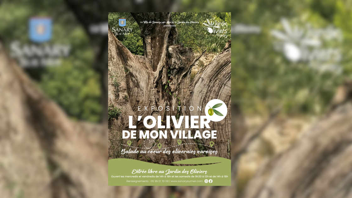 © L'olivier de mon village : balade au cœur des oliveraies varoises_Sanary-sur-Mer - Ville de Sanary-sur-Mer