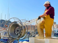 © Étals de pêcheurs_Sanary-sur-Mer - Sanary Tourisme