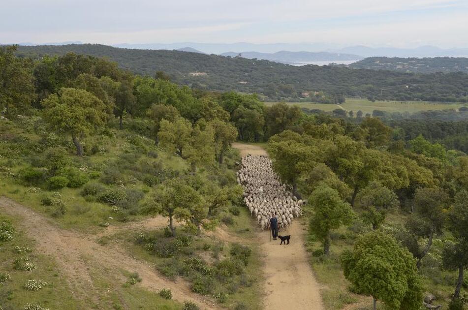 © Fête des bergers_Le Beausset - ©Maison de la transhumance