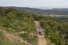 © Fête des bergers_Le Beausset - ©Maison de la transhumance