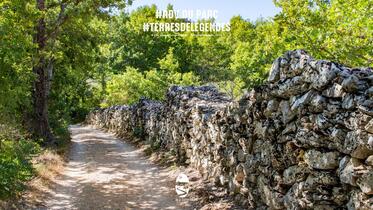 Terres de légendes : l'art de la pierre sèche #RDVduParc