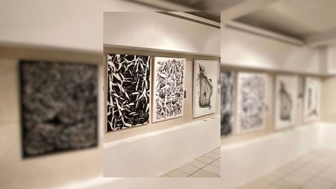 © Exposition : "Noir et blanc" par l'ARTEC_Sanary-sur-Mer - ARTEC