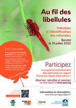 © Au fil des libellules : initiation gratuite à la reconnaissance des odonates_Bandol - LPO Paca