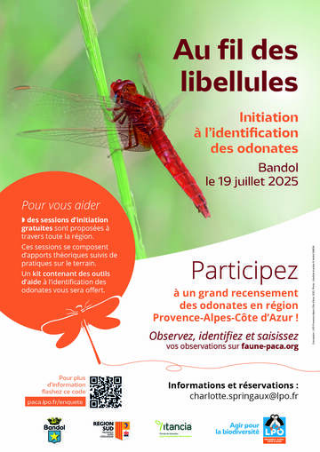 © Au fil des libellules : initiation gratuite à la reconnaissance des odonates_Bandol - LPO Paca