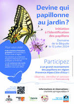 © Devine qui papillonne - initiation gratuite à la reconnaissance des papillons de jour_Le Castellet - LPO Paca