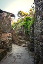 © Hilios Tours : Trésors de Provence_Bandol - Hilios Tours : Trésors de Provence_Bandol