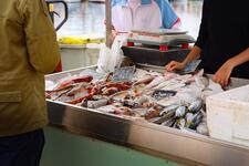© Étals de pêcheurs_Sanary-sur-Mer - Sanary Tourisme