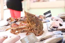 © Étals de pêcheurs_Sanary-sur-Mer - Sanary Tourisme