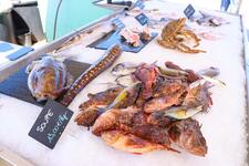 © Étals de pêcheurs_Sanary-sur-Mer - Sanary Tourisme