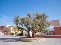 © Le Théâtre de verdure - Office de tourisme de Saint-Cyr-sur-Mer / Joan Costeja