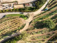 © Domaine La Font des Pères_Le Beausset - La font des pères