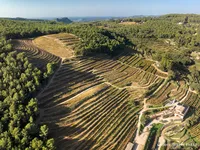 © Domaine La Font des Pères_Le Beausset - La font des pères