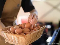 © Domaine de la Font des Pères_Le Beausset - La font des pères
