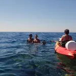 © Location de kayaks, stand up paddles, finboards vision et pédalos - Saint Cyr Kayak