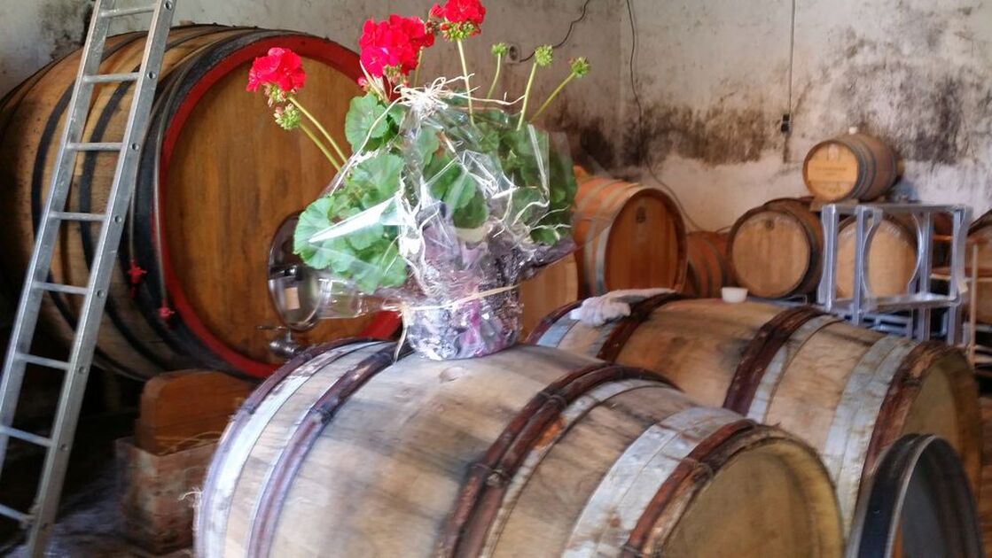 © Domaine la Chrétienne - Domaine la Chrétienne
