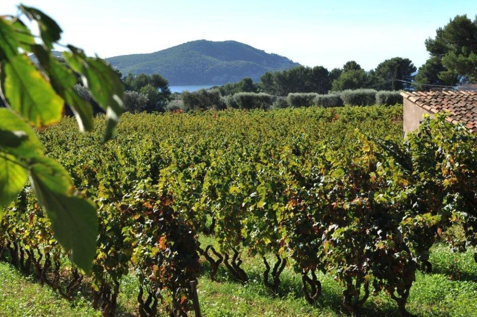 © Domaine Maubernard - Société civile Agricole du Domaine Maubernard