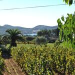 © Domaine Maubernard - Société civile Agricole du Domaine Maubernard