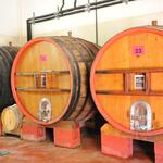 © Domaine Maubernard - Société civile Agricole du Domaine Maubernard