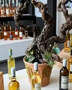 © Oenothèque de Bandol_Bandol - Maison des Vins de Bandol