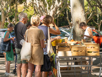 © Farmers market_Saint-Cyr-sur-Mer - ©Office de tourisme de Saint-Cyr-sur-Mer /  Inès da Fonseca