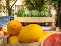 © Farmers market_Saint-Cyr-sur-Mer - ©Office de tourisme de Saint-Cyr-sur-Mer /  Inès da Fonseca