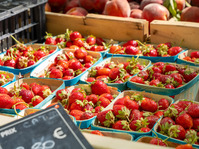 © Farmers market_Saint-Cyr-sur-Mer - ©Office de tourisme de Saint-Cyr-sur-Mer /  Inès da Fonseca
