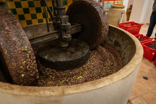 Atelier Terroir et Patrimoine : L'olive dans tous ses états