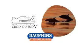 © Dauphins & coucher de soleil | La Croix du Sud V_Sanary-sur-Mer - Dauphins & coucher de soleil | La Croix du Sud V_Sanary-sur-Mer