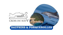 © Dauphins and Porquerolles | Southern Cross V_Sanary-sur-Mer - Dauphins et Porquerolles | Croix du Sud V_Sanary-sur-Mer