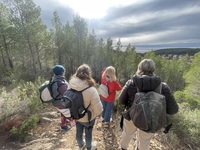 © Forest night with Natur'Eveil_Saint-Cyr-sur-Mer - Natur'Eveil