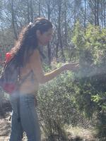 © Forest night with Natur'Eveil_Saint-Cyr-sur-Mer - Natur'Eveil