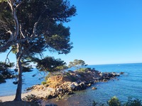 The View_Bandol