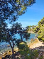 The View_Bandol