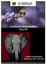 © Souvenirs de Provence er d'ailleurs_Le Castellet - Le Castellet Tourisme