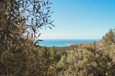 © Sentier des Nerthes (3h30) – Massif du Gros Cerveau_Sanary-sur-Mer - Sanary Tourisme