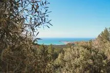© Sentier des Nerthes trail (3½ hours) – Gros Cerveau massif_Sanary-sur-Mer - Sanary Tourisme