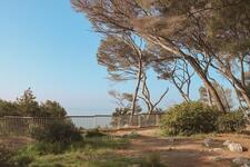 © Parc Victorin Blanc_Sanary-sur-Mer - Sanary Tourisme