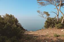 © Parc Victorin Blanc_Sanary-sur-Mer - Sanary Tourisme