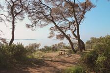 © Parc Victorin Blanc_Sanary-sur-Mer - Sanary Tourisme
