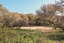 © Parc Victorin Blanc_Sanary-sur-Mer - Sanary Tourisme
